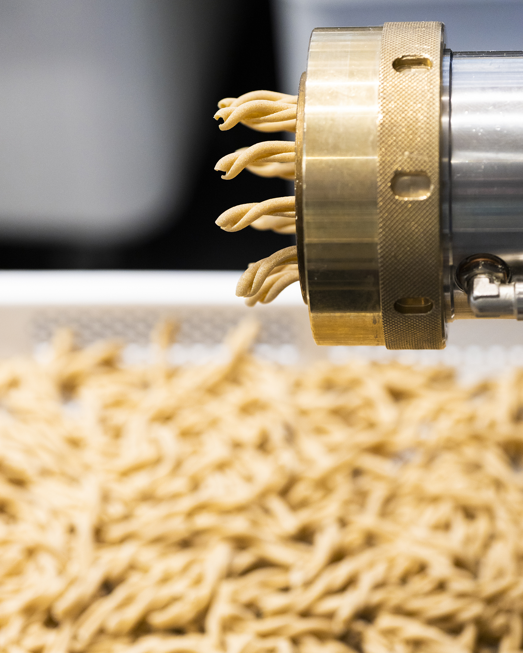 Pappardelle in a meat ragù